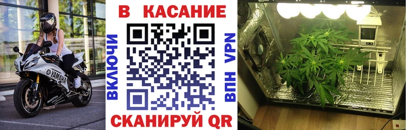 Купить Cocaine  Галлюциногенные грибы  Альфа ПВП  Конопля  ГАШИШ  МЕФ  Сураж