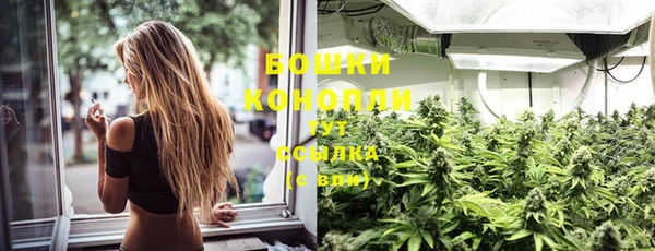 стаф Вязники