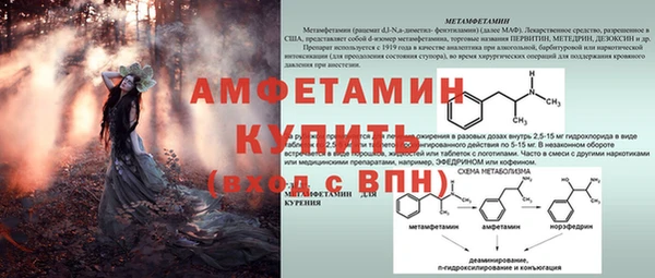 стаф Вязники