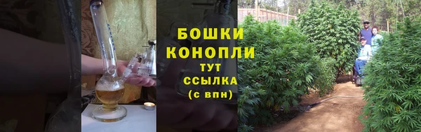 тгк Горно-Алтайск
