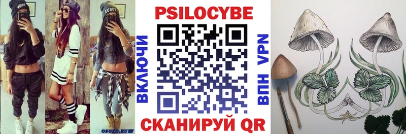 Псилоцибиновые грибы Psilocybe  Купить где  Сураж 